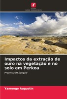 Impactos Da ExtraçãO De Ouro Na VegetaçãO E No Solo Em Perkoa Yameogo Augustin