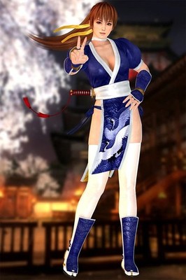 Dead Or Alive 5 Ultimate Kasumi Console Poster print 11''x17'' home decor