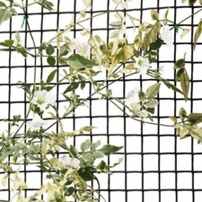 Image of General Purpose Garden Mesh Outdoor Indoor Fencing Plant Support Netting Protect