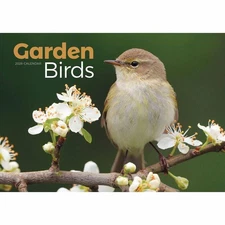 Carousel Worldwide, Garden Birds 2026 A4 Wall Calendar