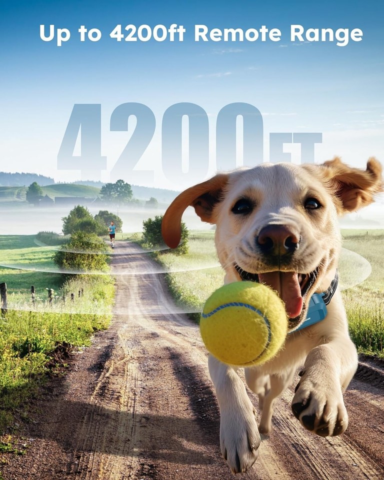 Dog Shock Collar 4200FT Dog Training Collar with Remote, IPX7