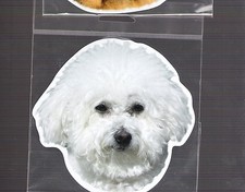 Bichon Frise  4 inch face magnet for anything metal