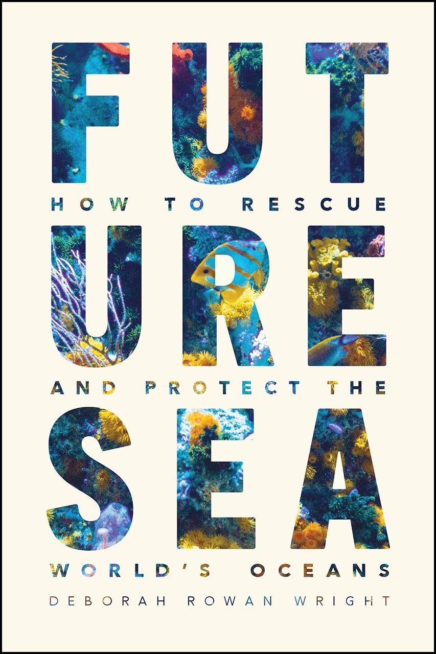 Future Sea: How to Rescue and Protect the World's Oceans,Wright,