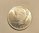 1923 Peace Silver Dollar Uncirculated
