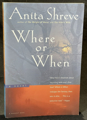 Where or When By Anita Shreve Beach Read Drama Thriller Paperback 1993