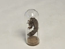 Bee , Bug Dome Specimen Entomology Taxidermy Curiosity Oddities gift decor