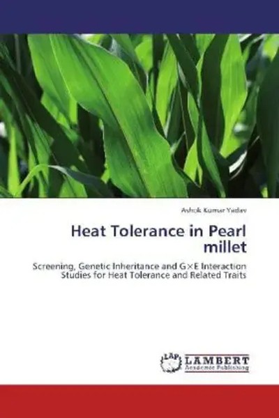 Ashok Kumar Yadav | Heat Tolerance In Pearl Millet | Taschenbuch | Englisch-image