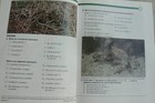 Bild 9 von 20