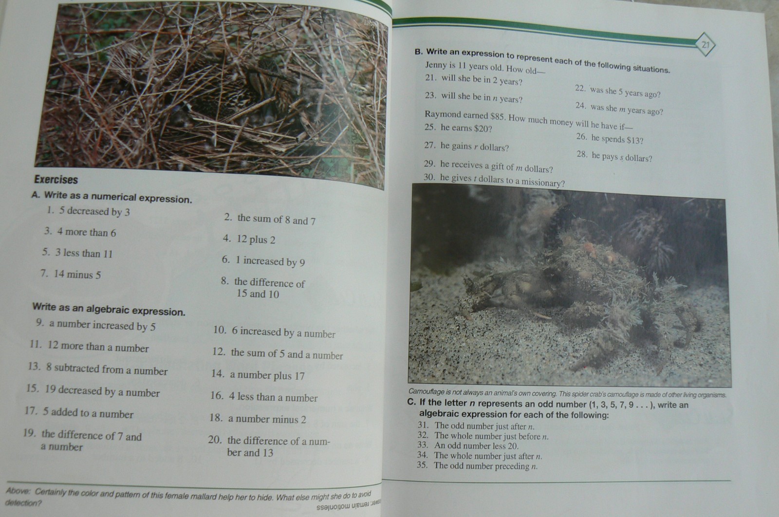 Bild 9 von 20