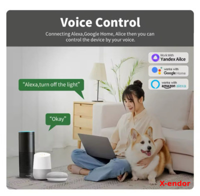 Tuya Smart Mini Wifi Smart Switch Modul