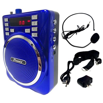 portable wireless sound system