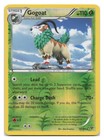 Gogoat 19/146 XY