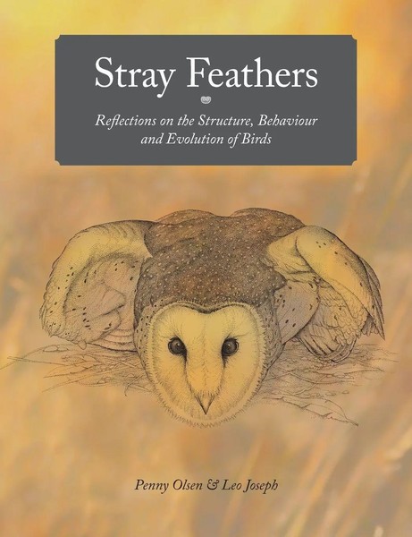 Stray Feathers | Reflections On The Structure, Behaviour And Evolution Of Birds-image