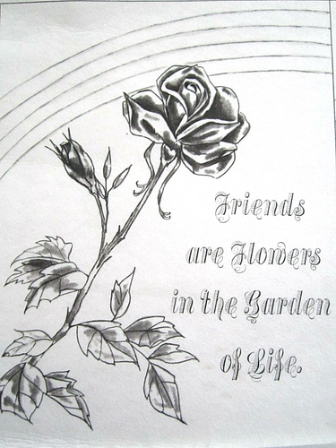 Tri Chem Rainbow Rose Friends in Garden of Life Motto Sampler Pre ...