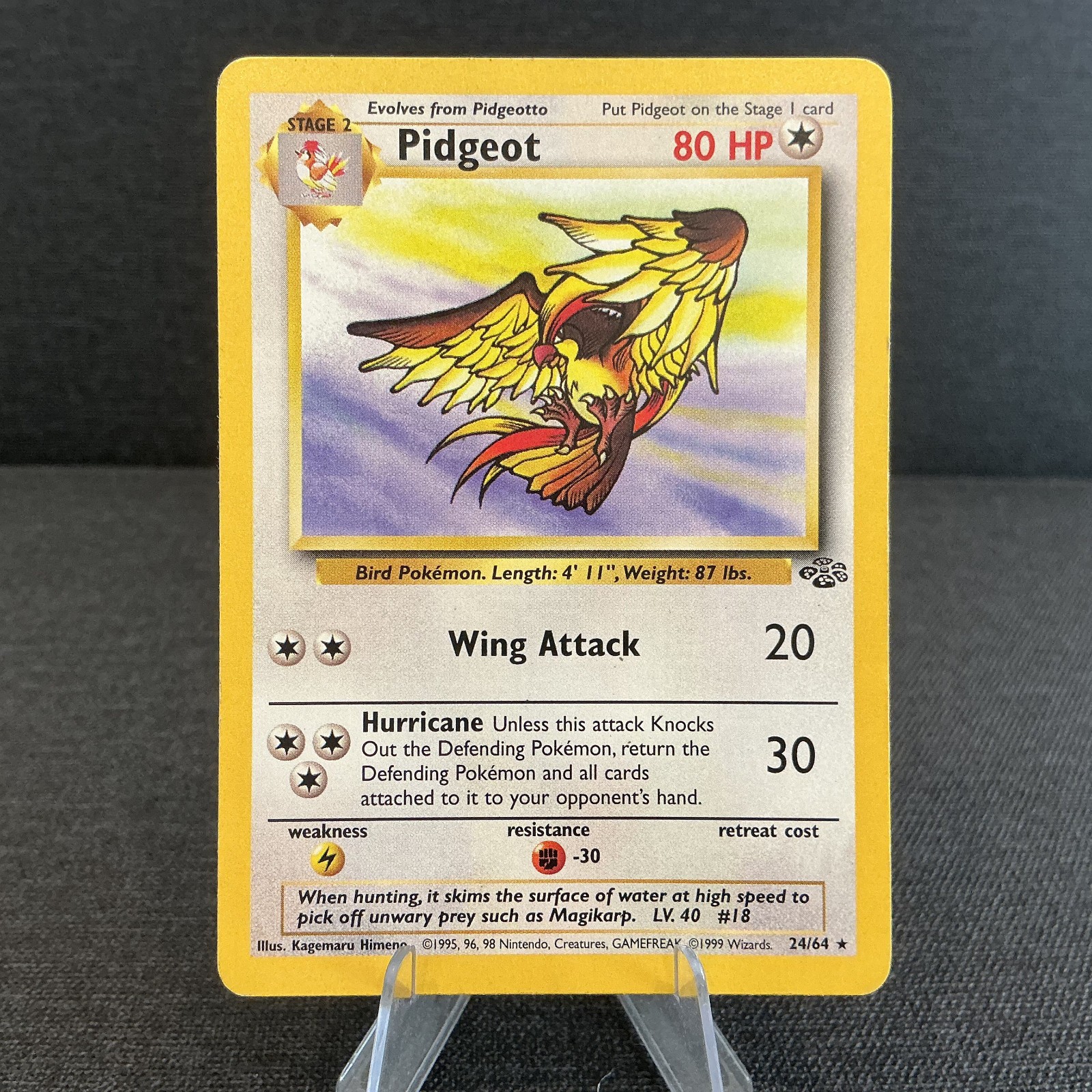 Pidgeot 24/64 Jungle Rare Non-Holo Vintage Pokemon TCG Card