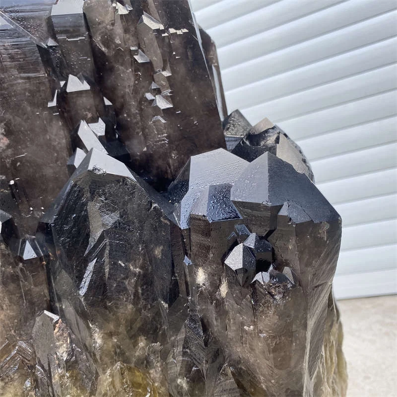 79.7 kg top in stone