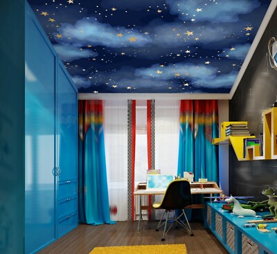 Sky Beauties フォトシール付き 8センチシングル8cmCDS邦楽CD 3D Sky Flower ZHU123 Ceiling Wall Paper Wall Print Decal Wall Deco