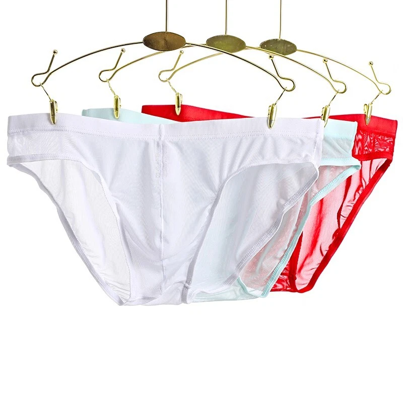 Slip tulle best sale trasparente