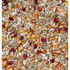 Beyers Galaxy Sport Light Racing Pigeon Mix 20kg For Pigeons Rich in Energy