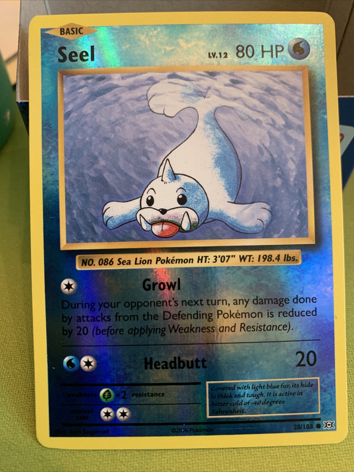 POKEMON CARD Seel 28/108 XY Evolutions 2016 Reverse Holo Near Mint eBay