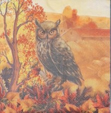 TWO Individual Napkins Birds Owl Fall Autumn Lunch for Decoupage (110)