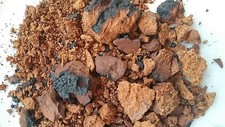 1 lb Dry Chaga mushroom