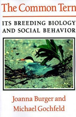 The Common Tern: Its Breeding Biology and Social Behavior by Michael Gochfield (