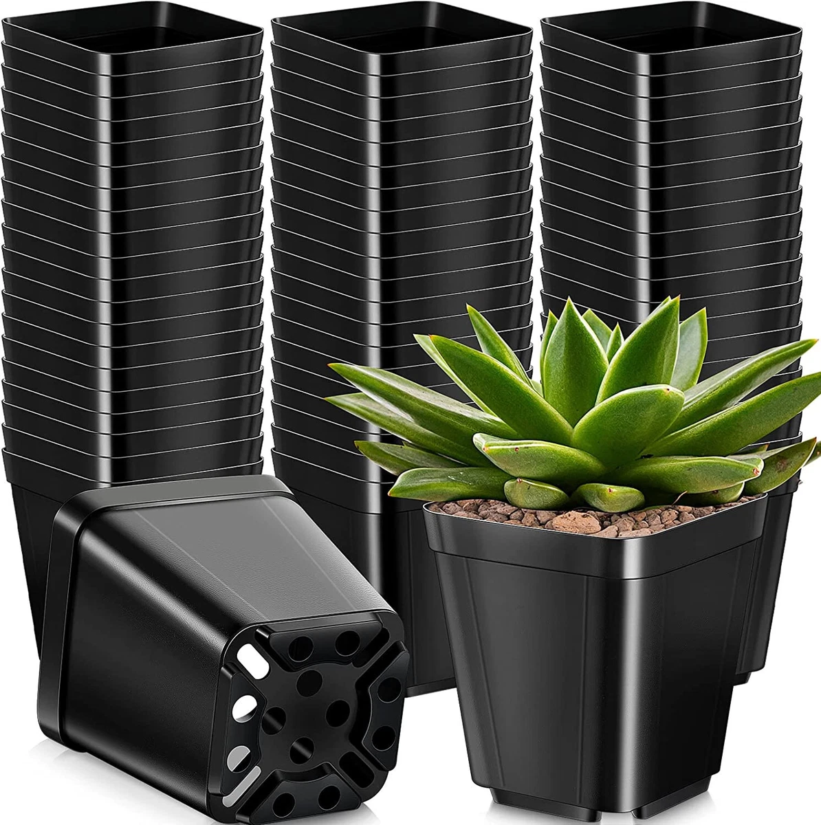Square plastic plant pots