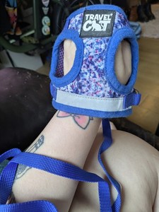 TRAVEL CAT Size XS HARNESS WITH LEASH x2 Hawaiian Shirt (Kitten/Cat Size XS & S)