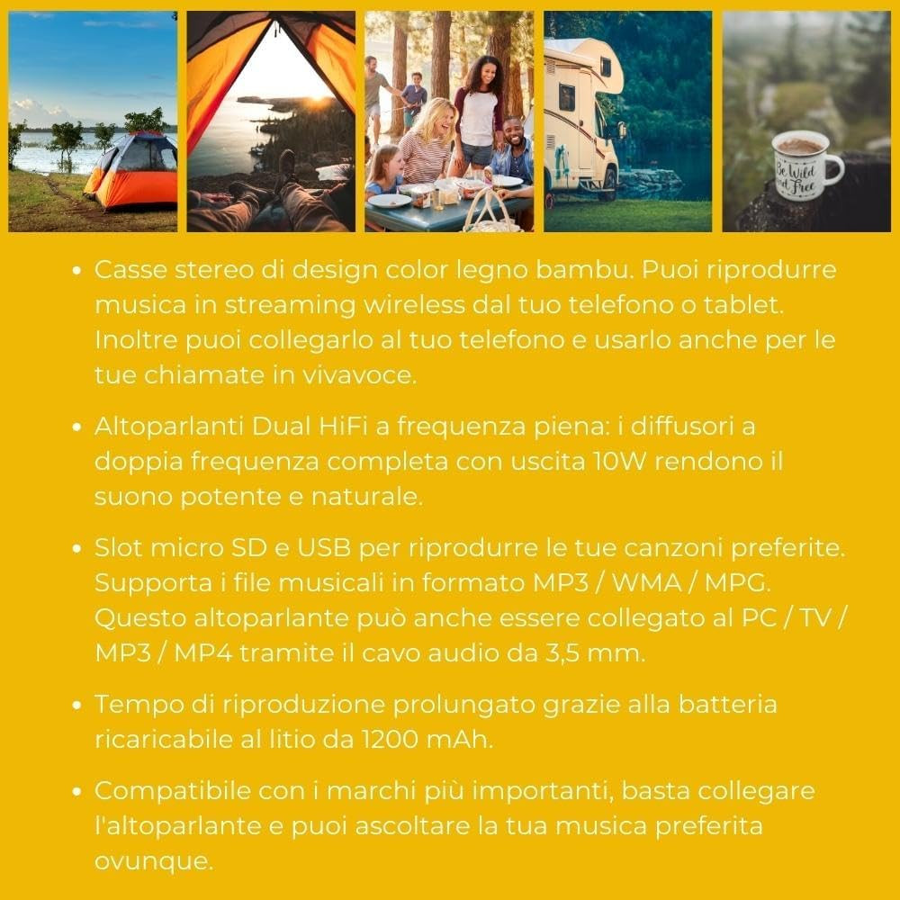 Speaker Professionale con Vivavoce e MP3 | Audio Wireless Business - 3