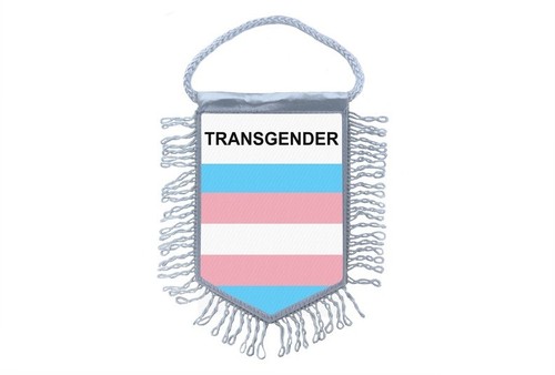 Bandiere Arcobaleno Bandiera O Gagliardetto Isolato Su Sfondo Bianco Pennant Icona Bandiera Lgbt 21993307