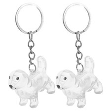 2 Pcs Dog Hair Keepsake Transparent Pet Storage Box Keychain Organizer