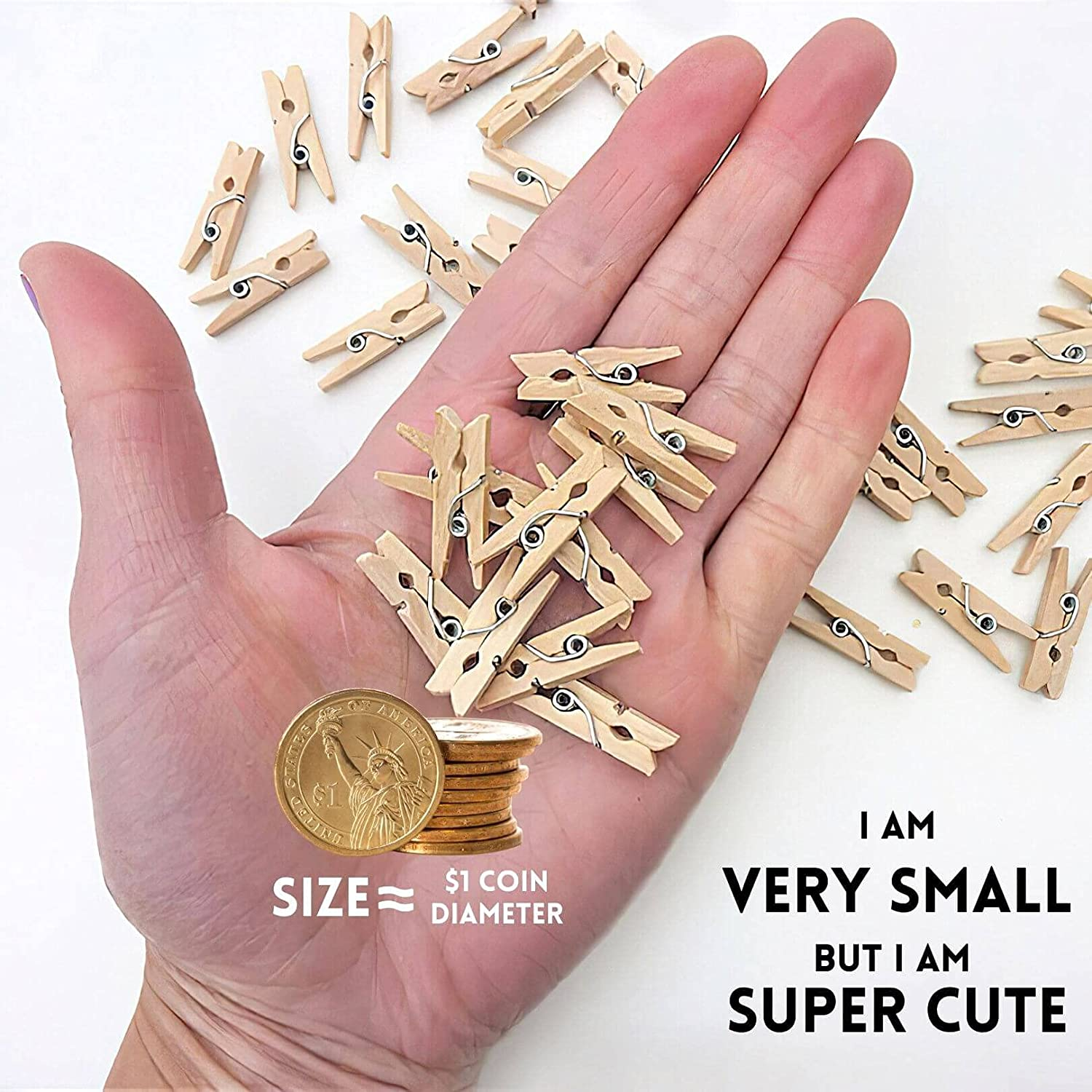 Sturdy Mini Clothes Pins for Photo, 150 Pcs 1 Inch Natural Wooden  Clothespins wi