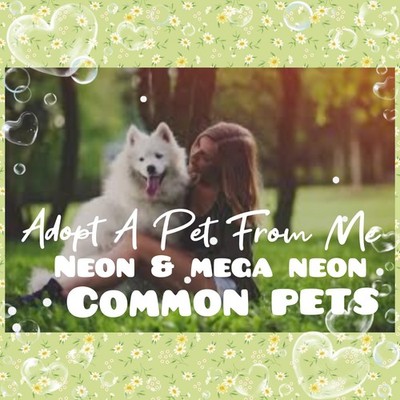   ADOPT (All Stuff FRM M3) Today!    Common    M3gas & N3ons  