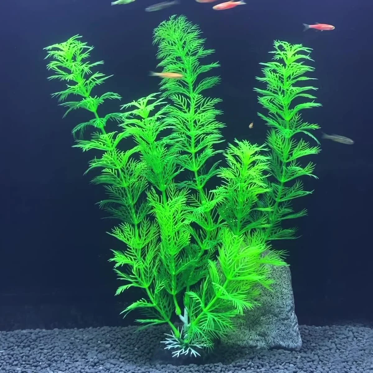 Realistic Plastic Aquarium Plants