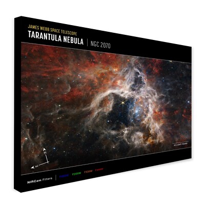 James Webb Teleskop - Tarantelnebel - NIRCam - gerahmter Leinwand-Wandbilddruck