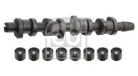 Nockenwellensatz Febi Bilstein 33195 FÜR Audi Seat Skoda VW