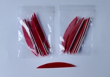1 dozen, 4" hand cut right wing Banana shape fletchings. Suits longbow arrows.