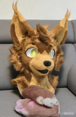 Fursuit Long haired Dog Fox Mascot Party Halloween Fur Cosplay(head+claws)