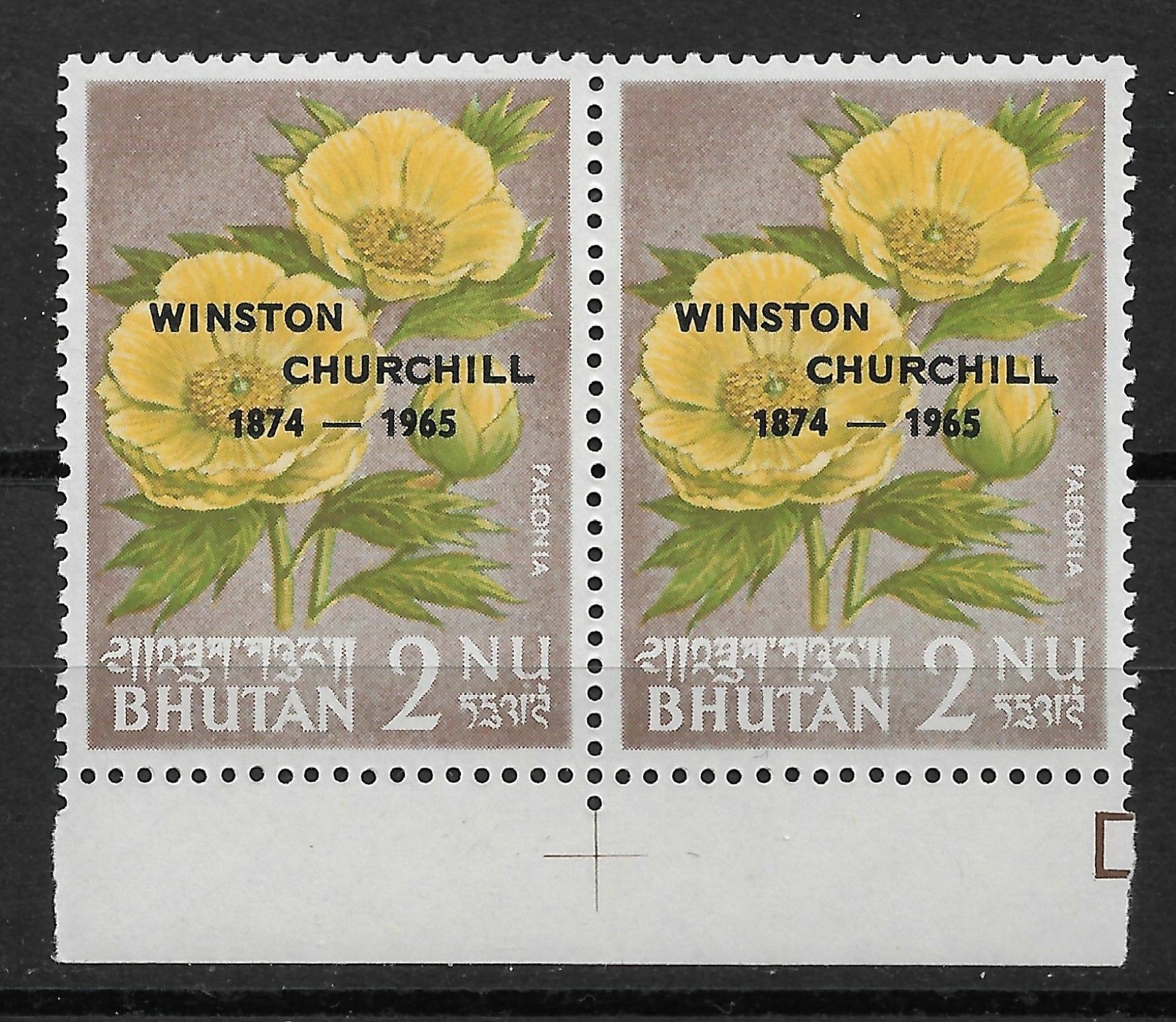 Bhutan 1965, Winston Churchill Overprinted, Pair, Scott # 45,VF