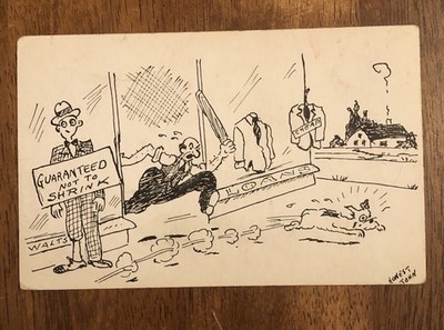 Humorous Postcard - Guaranteed Not To Shrink (WP18)