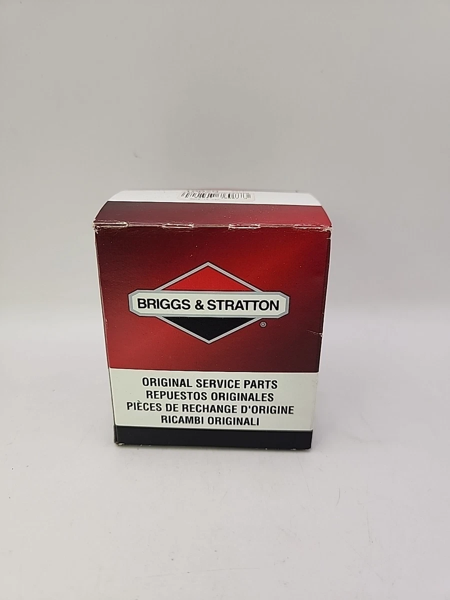 Juego De Segmentos BRIGGS & STRATTON Para Tractor De Césped 594437 - Foto 9