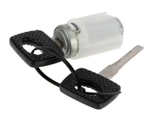 Ignition Lock Cylinder with 2 Keys and Key Handles FEBI 2024600704 for Mercedes