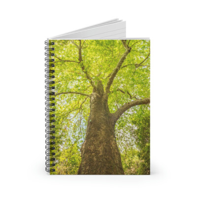 Spiral Notebook Ruled Line college Paper Nature 118 Pages Class Office ...