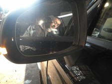 Retroviseur gauche (ou coque) Audi A1