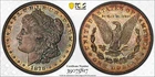 1878 P 7 Tail Feather Rev. 78 Morgan Silver Dollar $1 PCGS MS 63