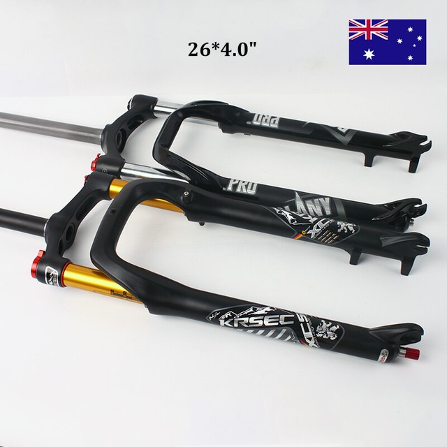 fat bike fork for sale