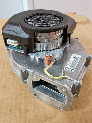 NTI Trinity 6000082052 ebmpapst RG130/0800-3612 Blower Motor 120V