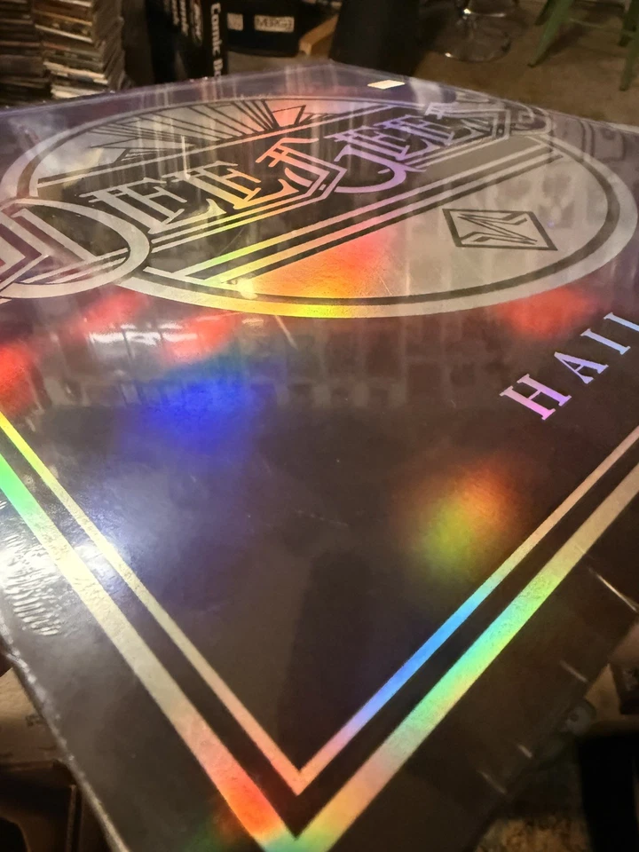 Hail Satin Dee Gees RSD Limited Edition Vinyl LP 2021 Grohl Sealed Foo Fighters - Image 2 of 4