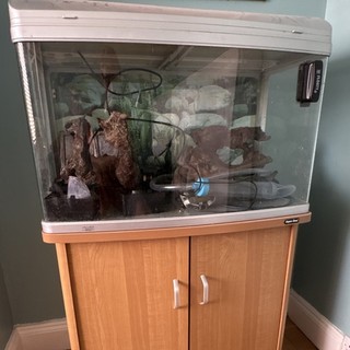 Aqua One AquaStyle 850 Bowfront Curved Glass Fish Tank Stand 85x50x52cm